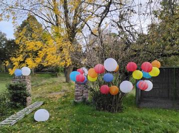 Lampionnen in diverse kleuren Ø 35 en 45 cm  +/- 250 stuks beschikbaar voor biedingen