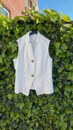 Gilet! Nieuw, Ophalen of Verzenden, Nieuw, Maat 38/40 (M), Wit
