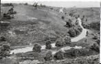 Q36 oude ansichtkaart de steeg weg naar posbank 1959, Verzamelen, Ansichtkaarten | Nederland, Ophalen of Verzenden, 1940 tot 1960