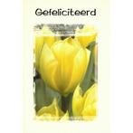 Verjaardagskaart Gefeliciteerd bij Stichting Superwens!, Diversen, Ophalen of Verzenden, Nieuw