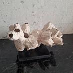 Beige kleurige zeepok cluster op zwarte voet, Nieuw, Ophalen of Verzenden, X, X