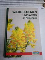 Postcode boek nu 4 Wilde bloemen en planten, Ophalen, Nieuw, Bloemen, Planten en Bomen