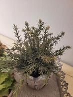 Kunstplantje in grijze stenen pot, Belle Vieille Brocante, Nieuw, Ophalen of Verzenden, Jolandamonsieurs@gmail.com