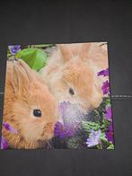 Canvasdoek konijntjes, Minder dan 50 cm, Ophalen of Verzenden, Zo goed als nieuw, Schilderij