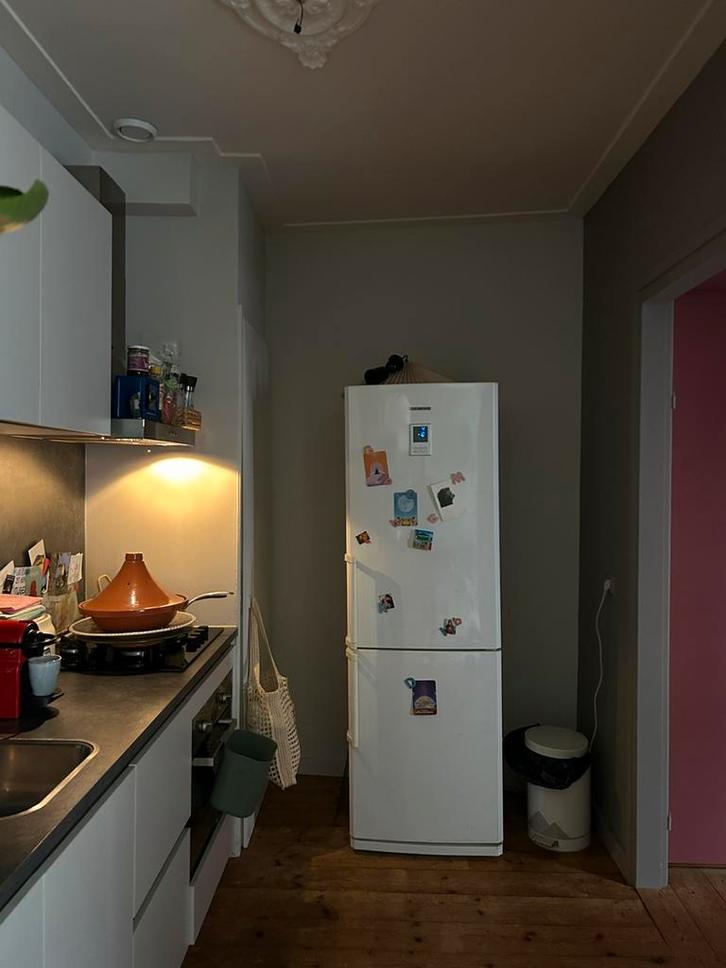 Samsung koelkast, Witgoed en Apparatuur, Koelkasten en IJskasten, Gebruikt, Met vriesvak, 200 liter of meer, 160 cm of meer, 60 cm of meer