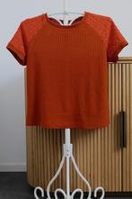 Shirt / Top / Truitje Shein, maat L, NIEUW, Ophalen of Verzenden, Nieuw, Maat 42/44 (L)