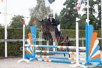 Sport pony te koop, Dieren en Toebehoren, Pony's, Ruin