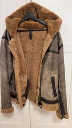 Pall mall jas pilot bomber jack  exclusieve uitgave maat l, Ophalen, Maat 52/54 (L), Bruin, Pall Mall
