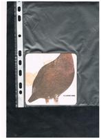 WHISKY, Verzenden, Nieuw, Overige typen