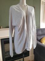Sissy Boy heerlijke licht grijze cardigan vest mt M 38 40, Maat 38/40 (M), Verzenden, Sissy-Boy, Zo goed als nieuw