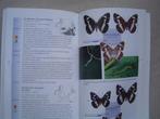 Veldgids Dagvlinders  Vlindergids KNNV, Verzenden, Zo goed als nieuw, Bloemen, Planten en Bomen