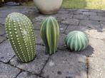 Cactus porseleinen beeldjes, Ophalen, Zo goed als nieuw
