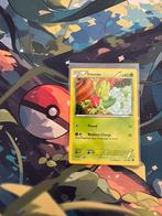 Pokémon kaart Treecko #6, Hobby en Vrije tijd, Verzamelkaartspellen | Pokémon, Ophalen of Verzenden, Gebruikt, Losse kaart