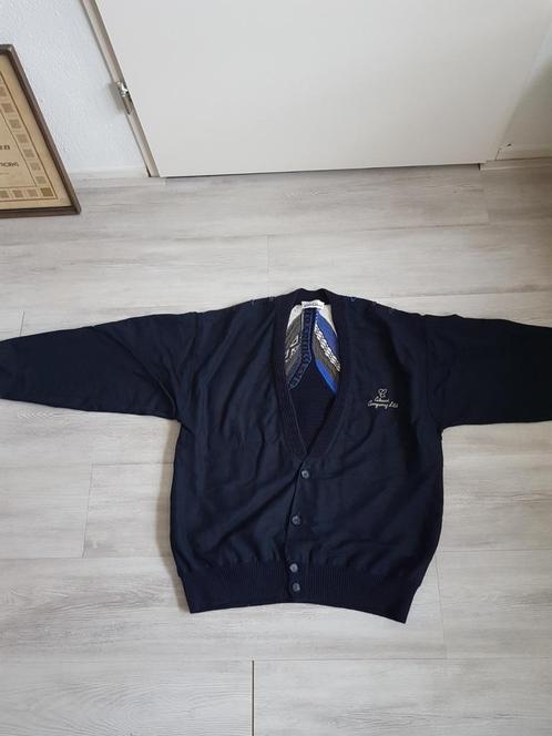 Carlo colucci trui maat m, Kleding | Heren, Truien en Vesten, Gedragen, Maat 48/50 (M), Blauw, Ophalen of Verzenden