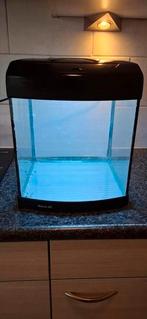 Aquarium, Dieren en Toebehoren, Vissen | Aquaria en Toebehoren, Ophalen, Gebruikt