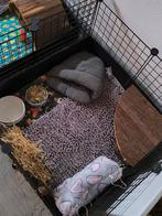 Draadkubus 75 x 75, Dieren en Toebehoren, Knaagdieren en Konijnen | Hokken en Kooien, Kooi, Zo goed als nieuw, 75 tot 110 cm, Cavia