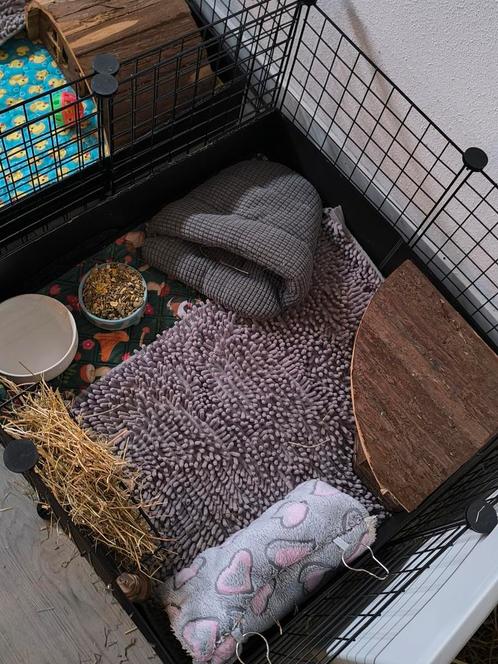 Draadkubus 75 x 75, Dieren en Toebehoren, Knaagdieren en Konijnen | Hokken en Kooien, Zo goed als nieuw, Kooi, Minder dan 60 cm