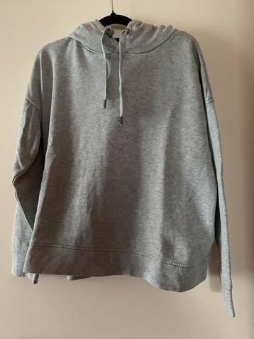 Grijze Trui / Sweater - Maat M beschikbaar voor biedingen