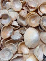 zak schelpen per kg. no. 5, Ophalen, Nieuw, Materiaal