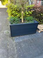 Bloembak plantenbak verrijdbaar, Tuin en Terras, Bloembakken en Plantenbakken, Ophalen, Zo goed als nieuw, 60 cm of meer, Rechthoekig