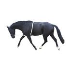 Longeerhulp wit katoen, Ophalen of Verzenden