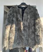 CARNAVAL diversen, Kleding | Dames, Ophalen of Verzenden, Zo goed als nieuw