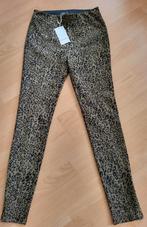 Colourful Rebel broek maat 36/38 leopard print skinny, Dante 6 Co Couture Maje, Nieuw, Lang, Ophalen of Verzenden