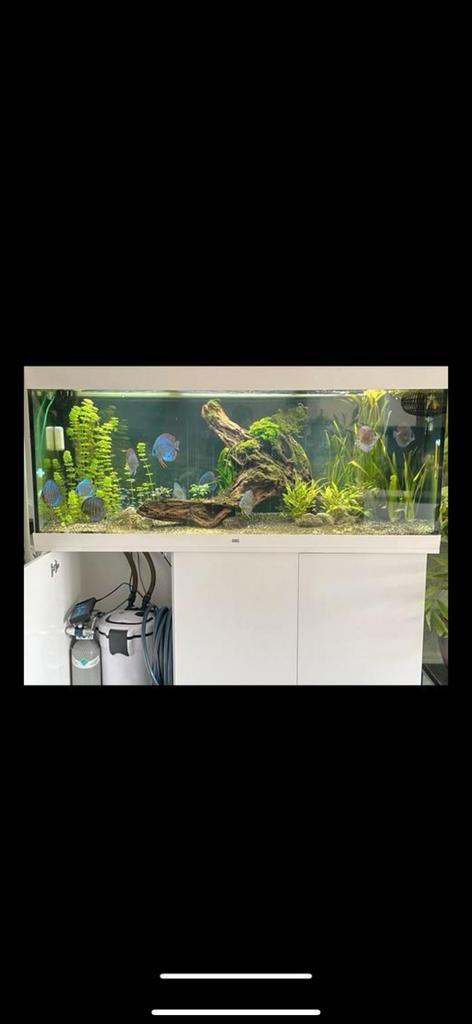 Aquarium, Dieren en Toebehoren, Vissen | Aquaria en Toebehoren, Zo goed als nieuw, Gevuld zoetwateraquarium, Ophalen