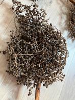 Prachtige uitgedroogde dadeltakken, Huis en Inrichting, Ophalen, Zo goed als nieuw