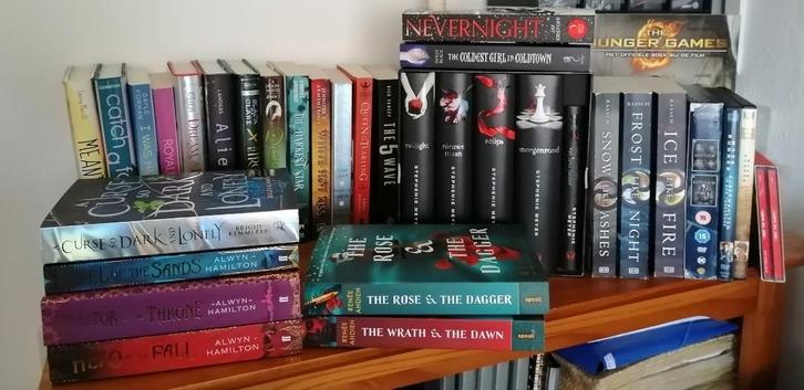 YoungAdult Boeken 25x - DVD Gotham-Maze Runner-CD The Vamps, Boeken, Fantasy, Zo goed als nieuw, Ophalen