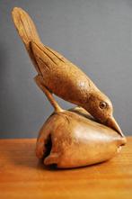 Ynguana Dieren Vogel Schildpad, Ophalen of Verzenden, Beeldje of Figuurtje