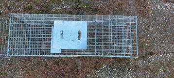 Vangkooi marter, rat, kat beschikbaar voor biedingen