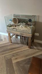 KOOPJE! Groot glazen Hamsterkooi /terrarium voor hamsters!, Dieren en Toebehoren, Ophalen, Hamster, 60 tot 90 cm, Zo goed als nieuw