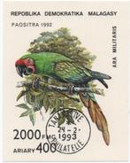 Papegaai - Malagasy 1992 - Gestempeld, Verzenden, Gestempeld, Dier of Natuur