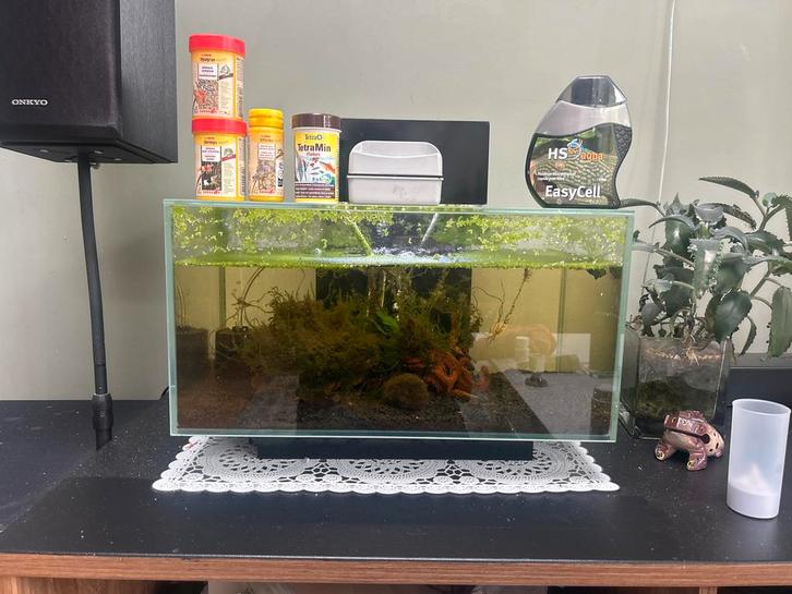 Mooi compleet aquarium met vele extra’s en 2 of 3 algeneters, Dieren en Toebehoren, Vissen | Aquaria en Toebehoren, Gebruikt, Gevuld zoetwateraquarium