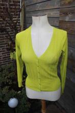 Vest lime King Louie mt S Vaste prijs AANBIEDING, Kleding | Dames, Truien en Vesten, Ophalen of Verzenden, Zo goed als nieuw, King Louie