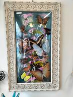 Vintage vlinderkunst in lijst opgezette vlinders, Ophalen