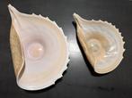 Antieke glazen schelp vormen, ca. 1900, Ophalen, Gebruikt, Schaal, Glas