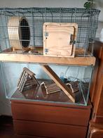 Knaagdieren hok, Dieren en Toebehoren, Ophalen, Hok, Minder dan 60 cm