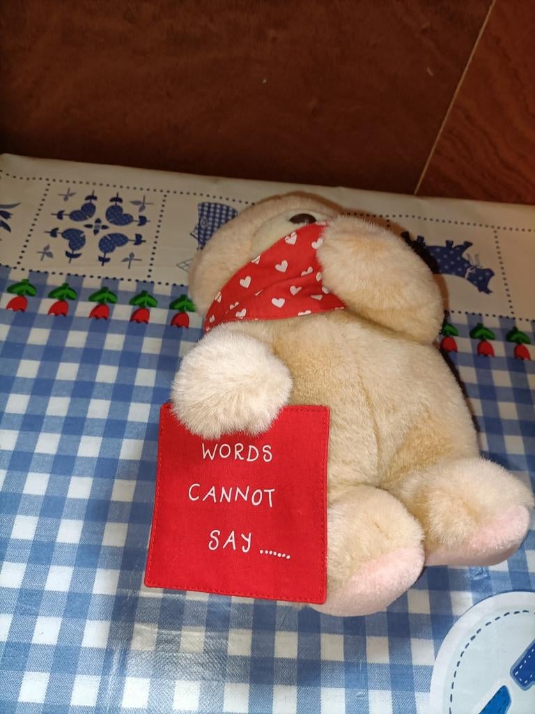 Andrew Brownsword beer knuffel "Words cannot say", Ophalen of Verzenden, Zo goed als nieuw, Stoffen beer, Overige merken