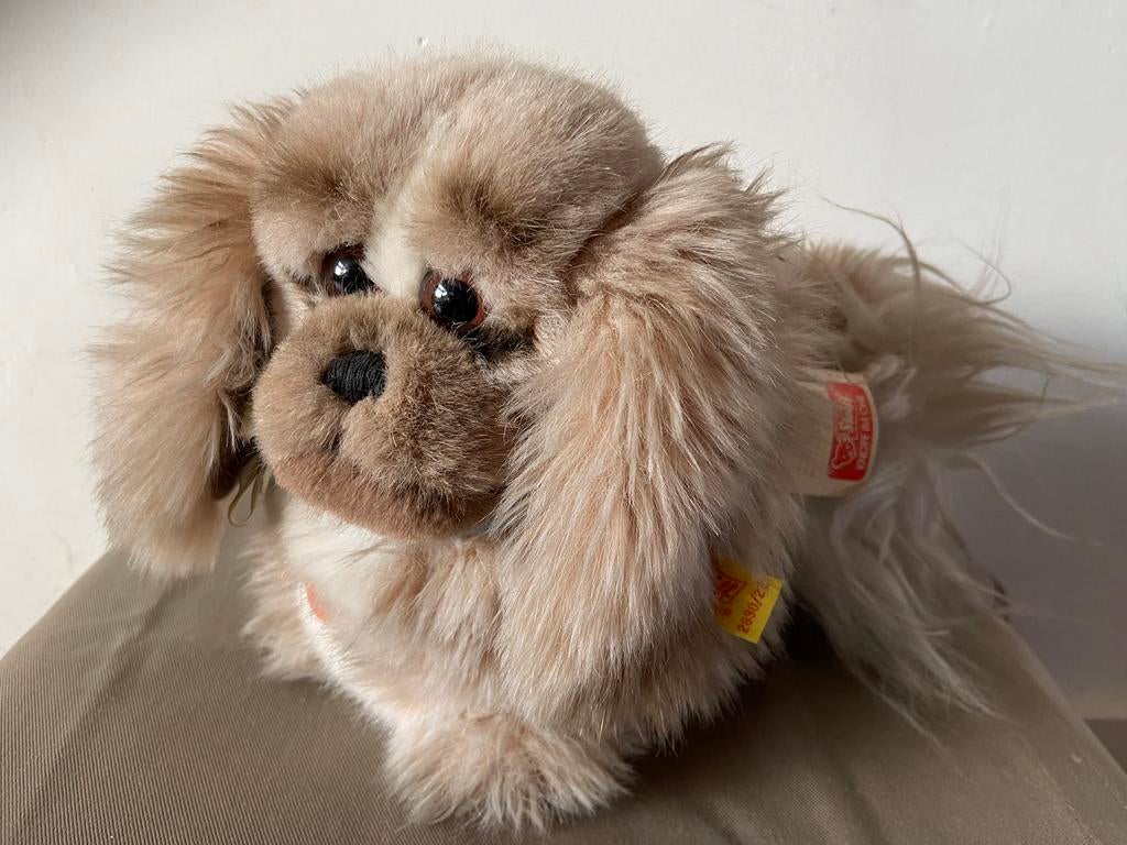 Steiff hond Junior Peky pekinees, 2890/22, Ophalen of Verzenden, Zo goed als nieuw, Schedel