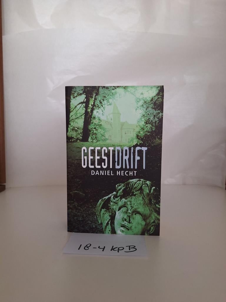 Geestdrift - Daniel Hecht, Ophalen of Verzenden