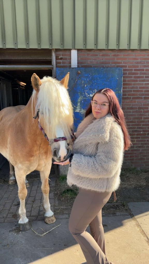 Gezocht: wei stal plek weiland stalling, Weidegang, 1 paard of pony