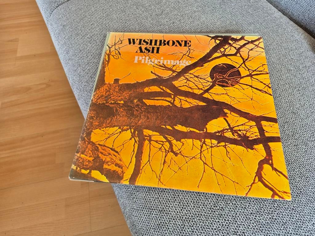 Wishbone Ash LP, Cd's en Dvd's, Ophalen of Verzenden, Zo goed als nieuw