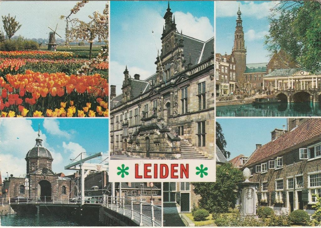 LEIDEN Tulpen Molen Poort Stadhuis Hofje, Ophalen of Verzenden, 1960 tot 1980, Ongelopen, Zuid-Holland