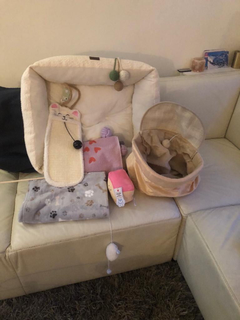 Katten uitzet, Ophalen of Verzenden, Nieuw