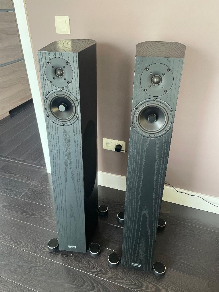 Audio Physic Tempo luidsprekers, Zo goed als nieuw, 120 watt of meer, Front, Rear of Stereo speakers, Ophalen