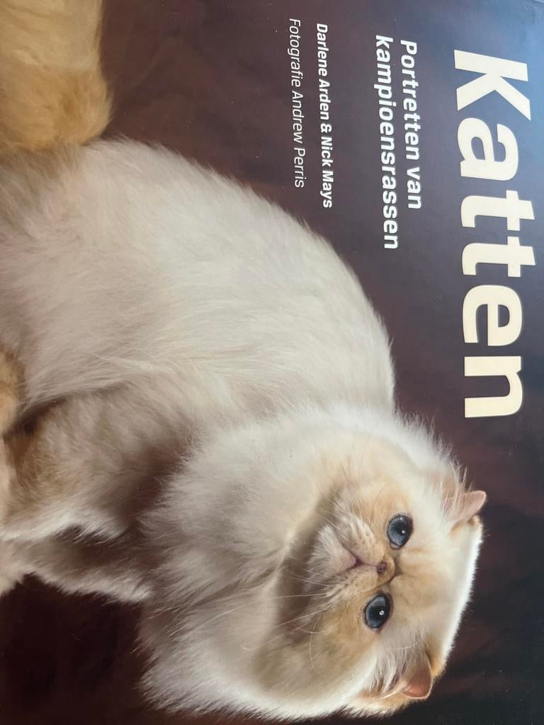 Katten: Portretten van kampioensrassen, Ophalen of Verzenden, Nieuw, Katten