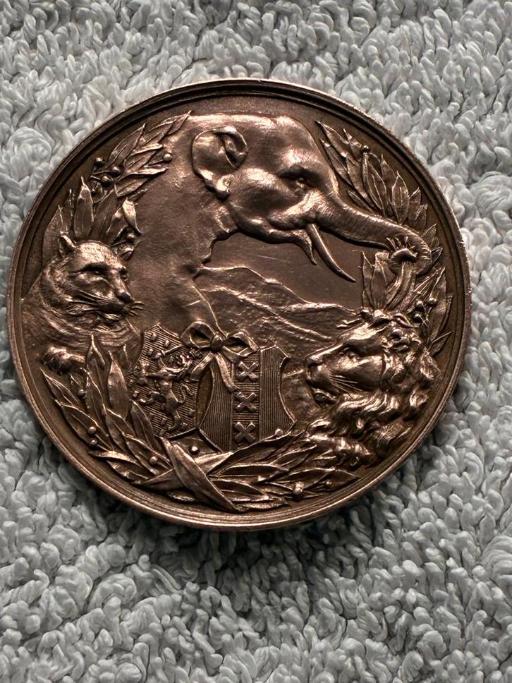 Penning ter gelegenheid van het vijftig jaar bestaan Artis, Postzegels en Munten, Penningen en Medailles, Brons, Ophalen of Verzenden