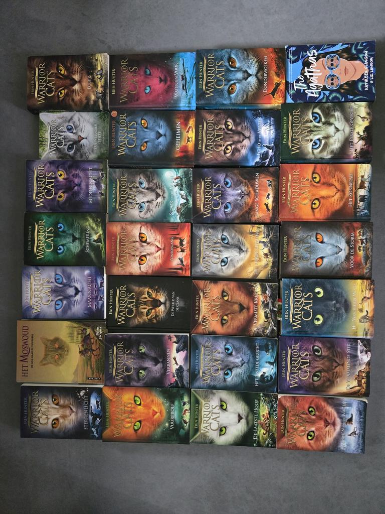 Grote collectie Warrior Cats boeken - 28 stuks!, Boeken, Ophalen of Verzenden, Gelezen